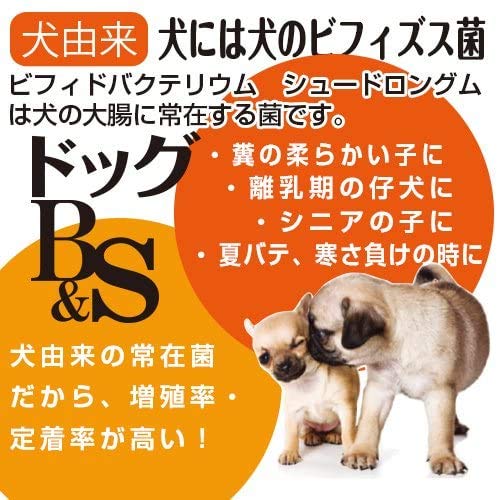 Amazon.co.jp: 【8個セット】トーラス 犬由来ビフィズス菌 ドッグ B&S
